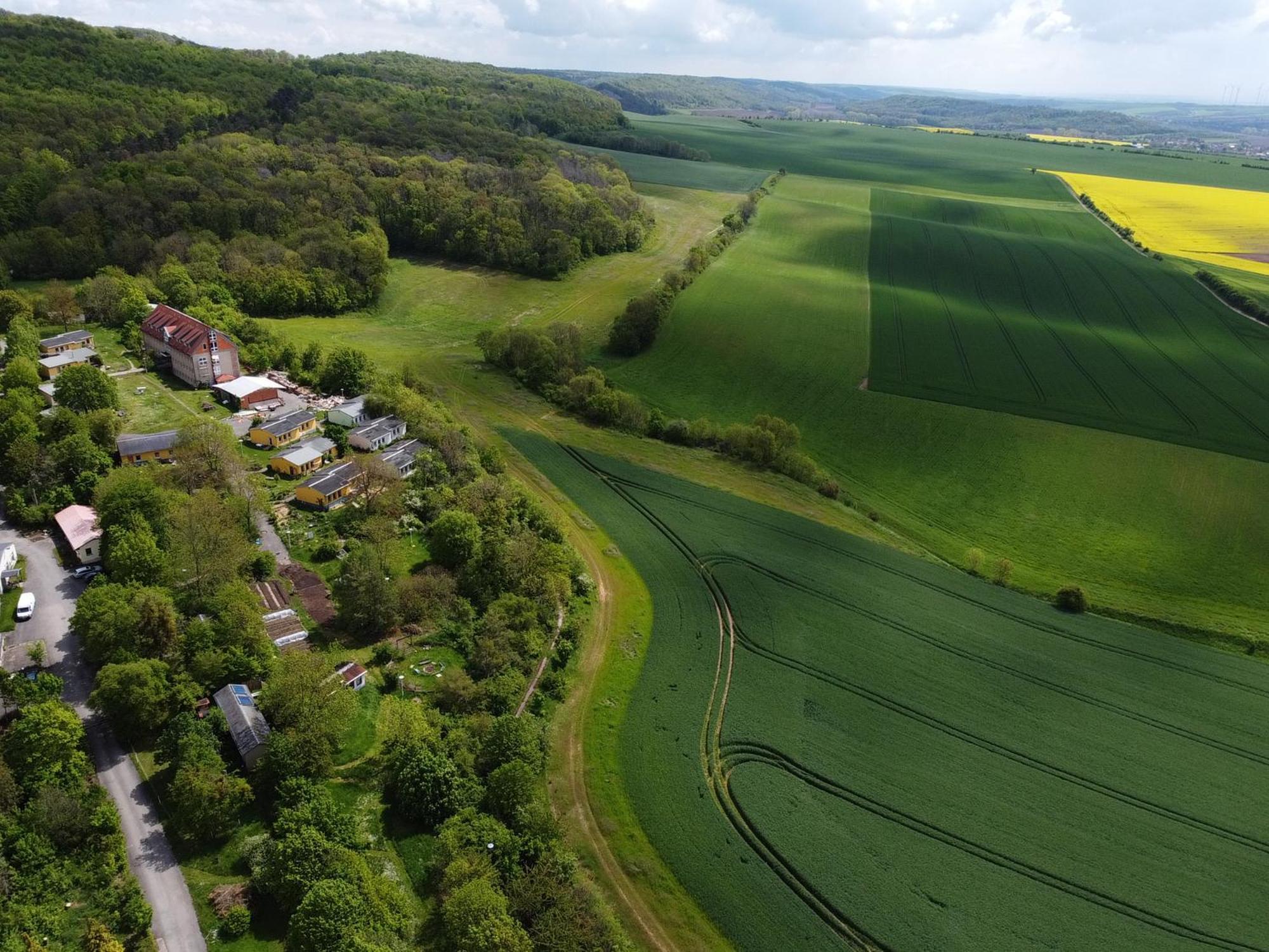 Schloss Beichlingen Exteriér fotografie