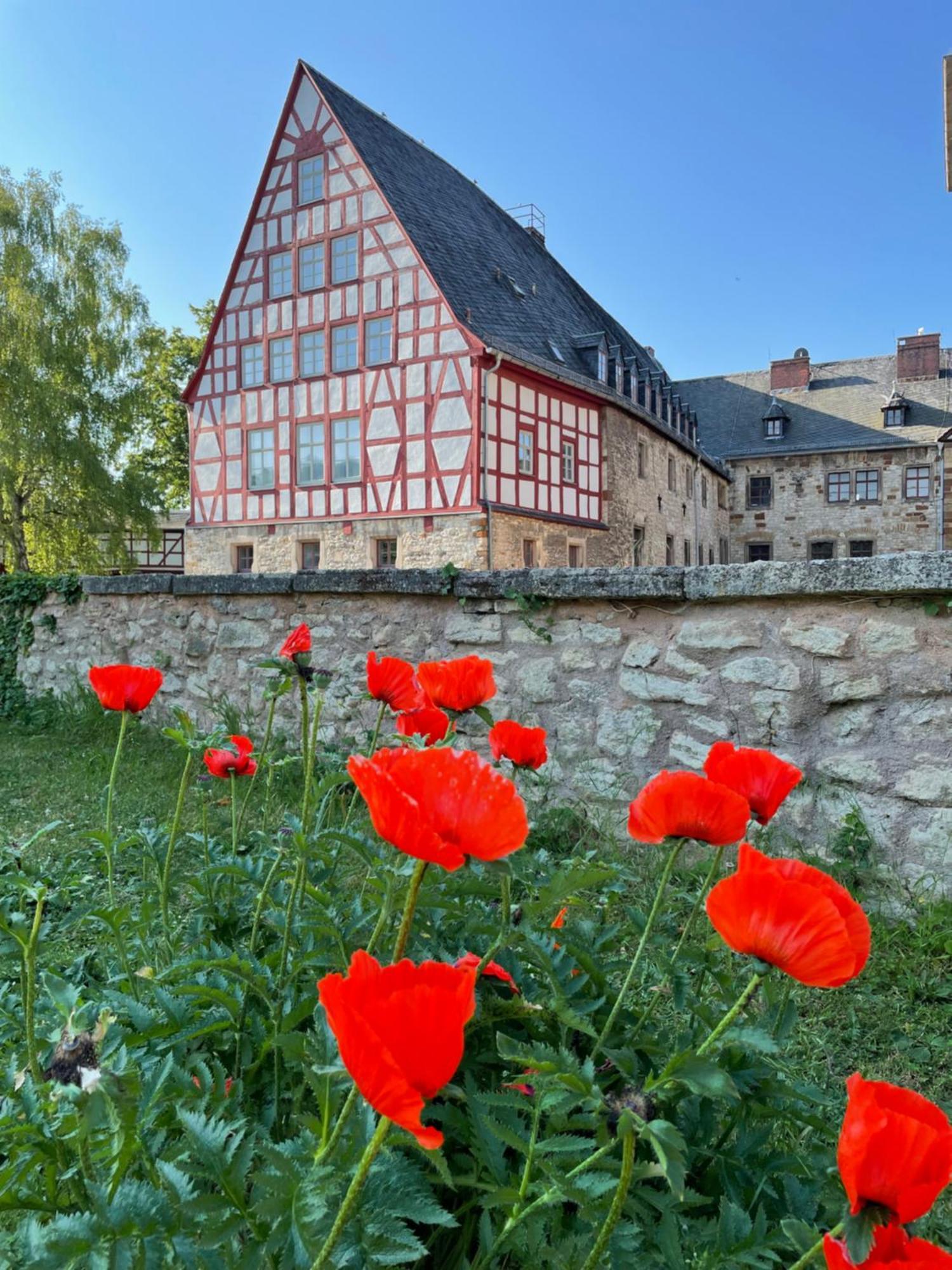 Schloss Beichlingen Exteriér fotografie