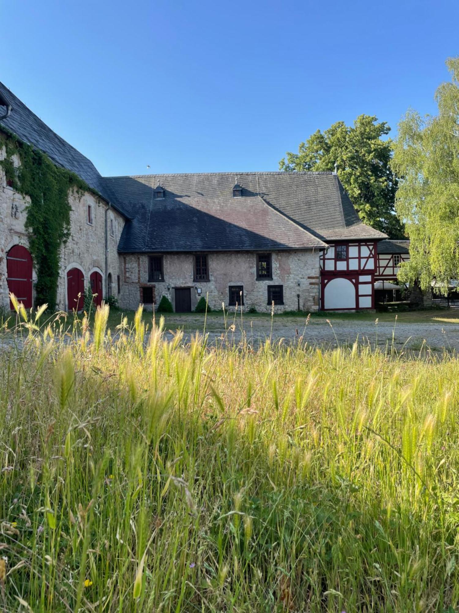 Schloss Beichlingen Exteriér fotografie