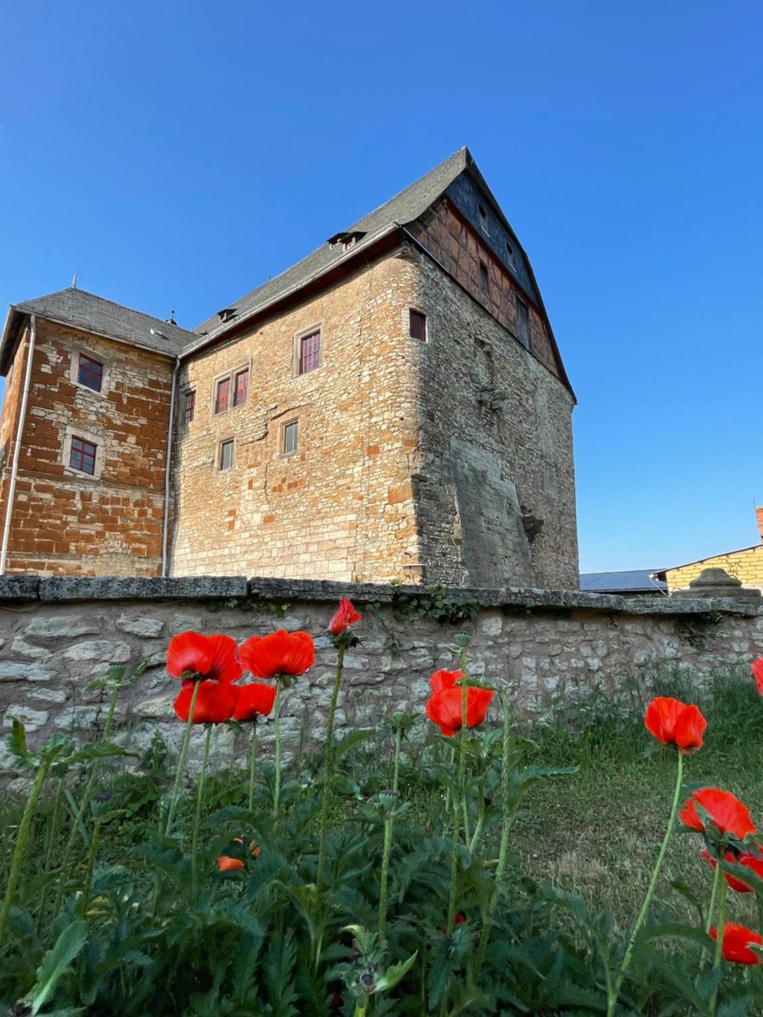 Schloss Beichlingen Exteriér fotografie
