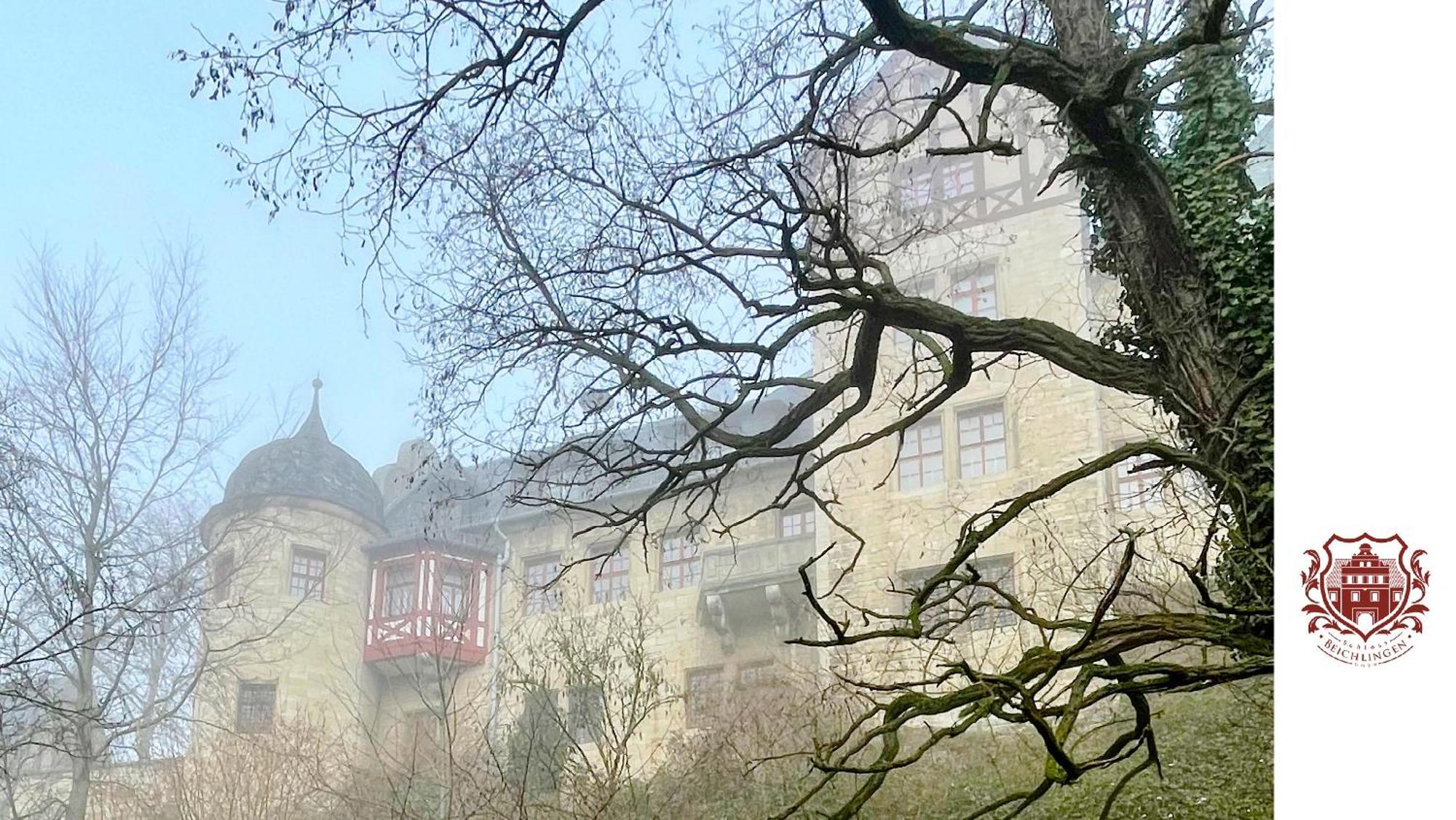 Schloss Beichlingen Exteriér fotografie