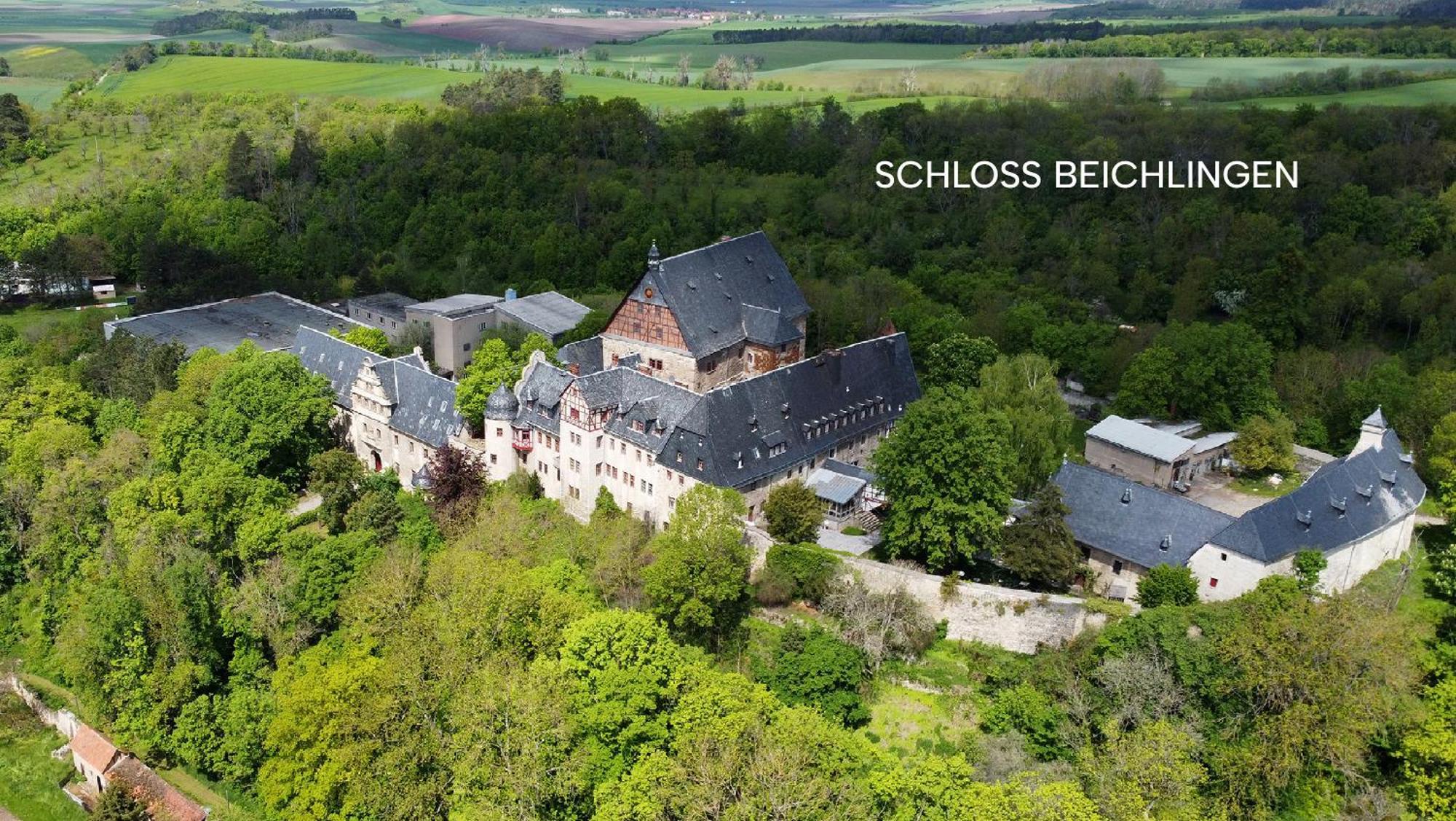 Schloss Beichlingen Exteriér fotografie